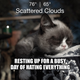 Illustration for article titled The Grumpy Cat Weather App Wont Sugar Coat Things For You